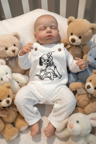Alan charming reborn boy - alan,
