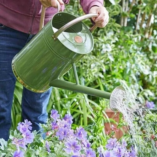 Garden watering can - garden,
