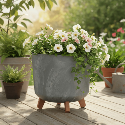 Plant pot grey concrete effect - plant,