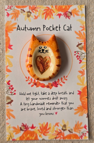Autumn pocket cat worry - autumn, stone