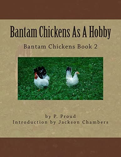 Bantam chickens hobby - bantam, as