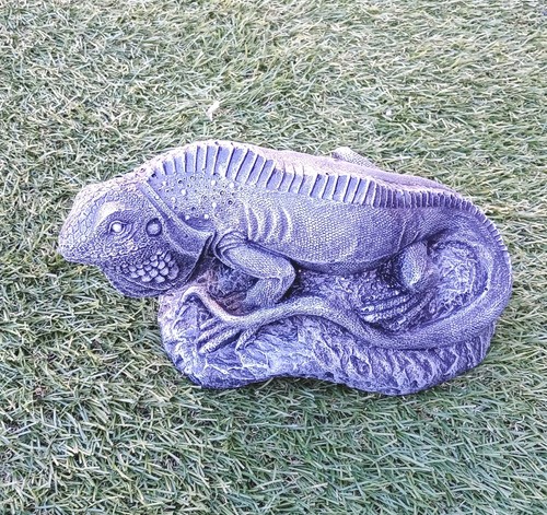 Iguana lizard garden - iguana,