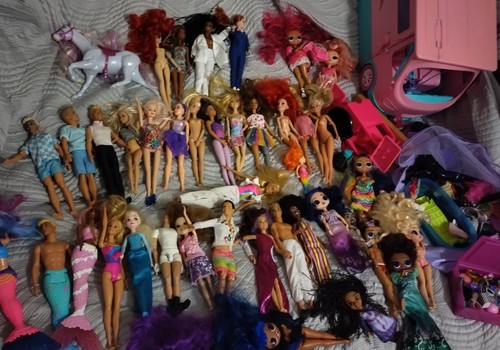 Large barbie bundle - barbie, includes