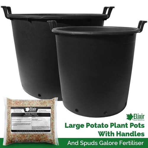 Potato growing pot planter - potato,