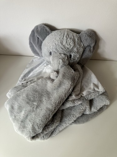 Next elephant buddy - buddy, baby