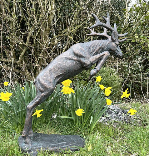 Jumping leaping stag - jumping, deer