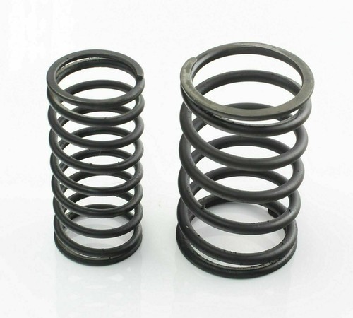 Valve springs jacobs - jacobs, radial