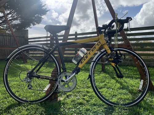 Carrera tdf ltd - tdf, pro