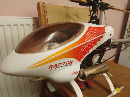 Thunder tiger raptor - tiger,