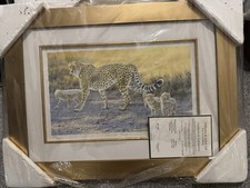 Stephen Gayford Sunset Stroll