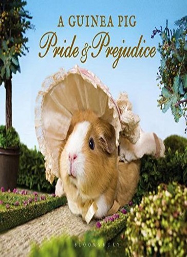 Guinea pig pride - guinea,