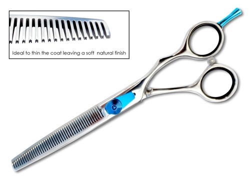Dog grooming essentials - grooming,