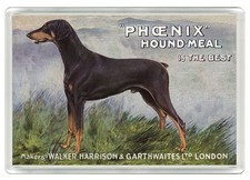 DOBERMAN DOG FRIDGE MAGNET