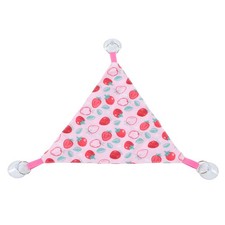 2pcs Triangular Bearded Dragon