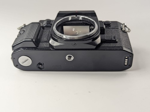 Tested seals canon - &, slr