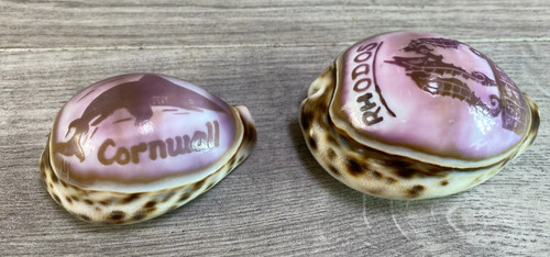 Vintage cameo tiger - cameo, cowrie