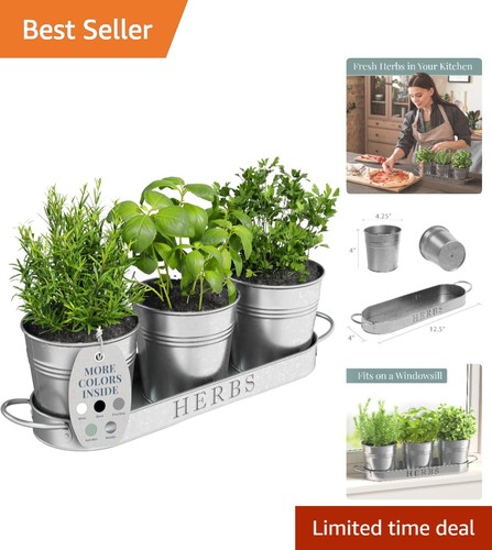 Chic galvanized metal herb - galvanized,