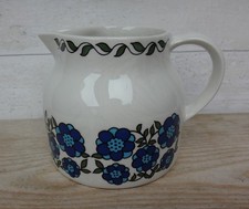 Taunton vale blue daisy - taunton,