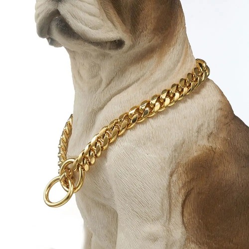Choker stainless steel dog - stainless,