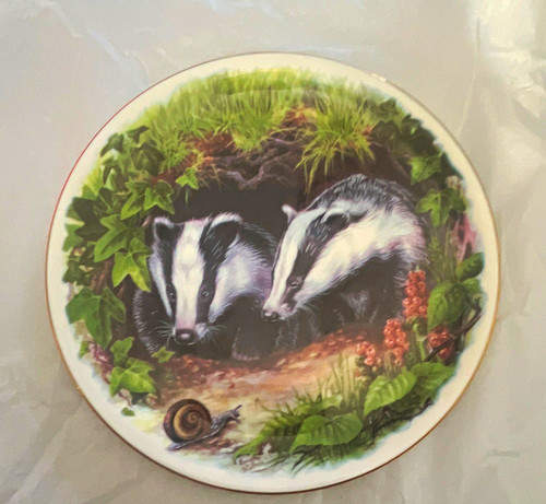 Royal vale badgers - royal,