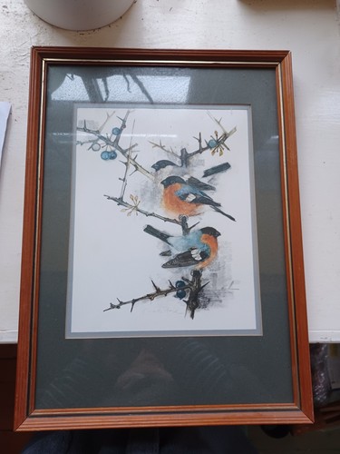 Vintage framed mads - vintage,