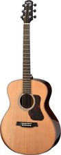 Walden G803RE-G-W Grand Auditorium Electro-Acoustic