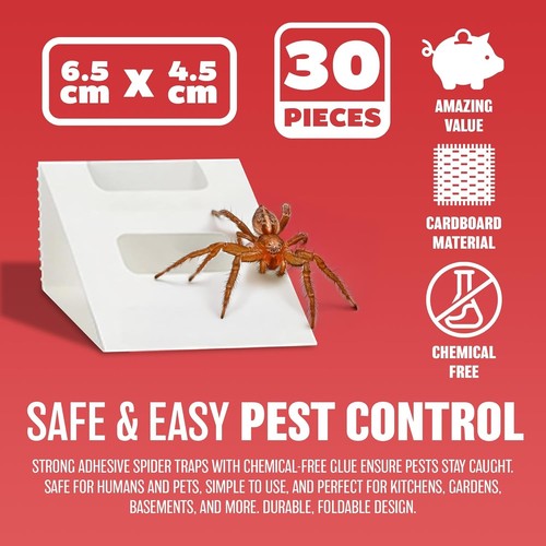 Set spider glue - set,