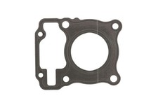 S410210001314 - Gasket Head