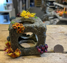 Coral Cube Habitat Coral