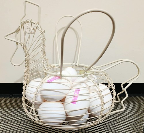Eaglewiz egg holder - eaglewiz,