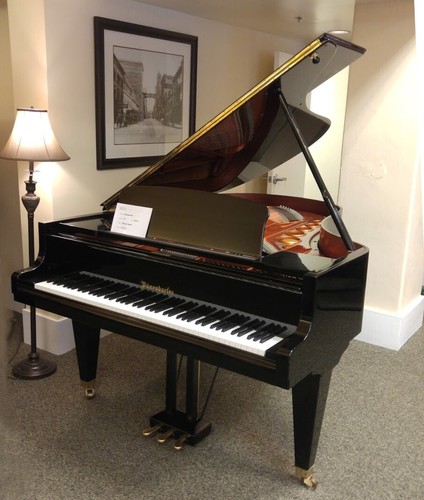 Bösendorfer 200 grand - bösendorfer,