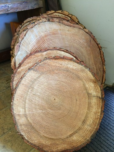 Rustic log slices - rustic,