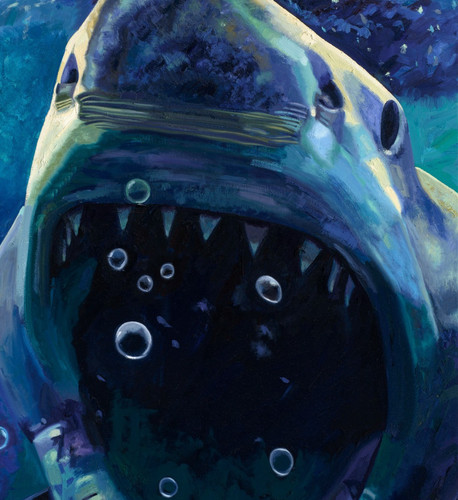 Great white shark - white,