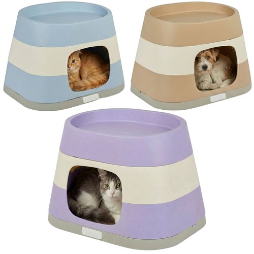 Dog cat pet - dog,