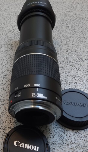 Canon 300mm 5 6 iii - ef,