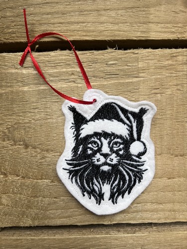 Maine coon cat - cat, hanging