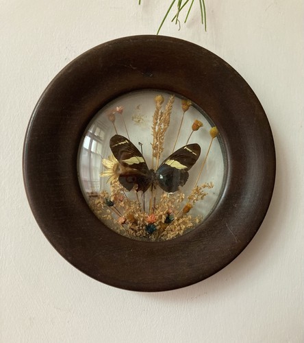 Vintage oval convex framed - vintage,
