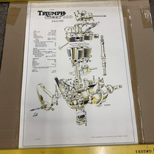 Triumph,poster,original,Tiger