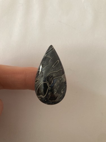 Petrified palm wood cabachon - palm,