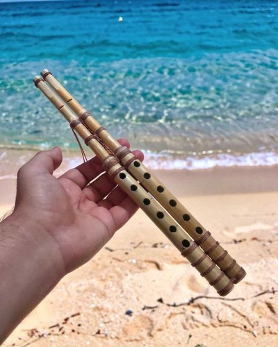 Handmade wooden mijwiz - mijwiz, flute
