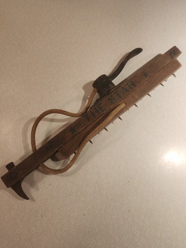 Antique carpet stretcher - carpet,