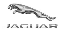 Genuine jaguar wheel center - wheel,