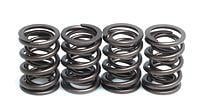 Valve spring set - valve,