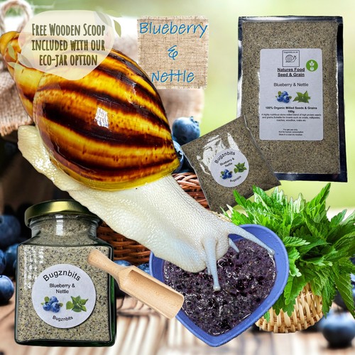 Giant african land snail - african, food