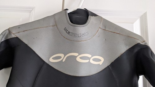 Orca predator swimming - predator,