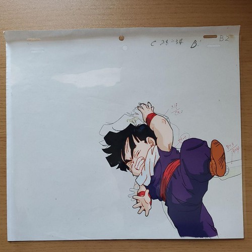 Dragon ball animation - z, anime