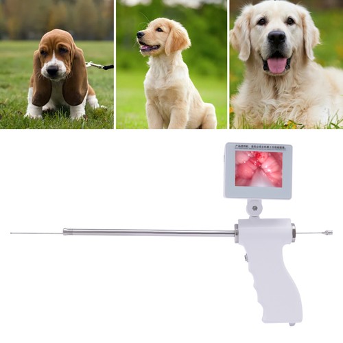 Artificial visual insemination - artificial,