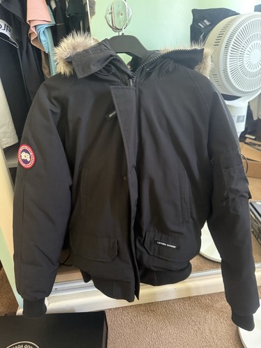 Canada goose chilliwack - canada,