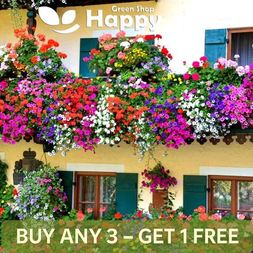 Balcony flower mix seeds - 0.5g,