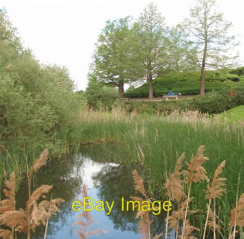 Photo 6x4 stockley - park,